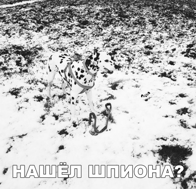 Простой юмор без смысловой нагрузки