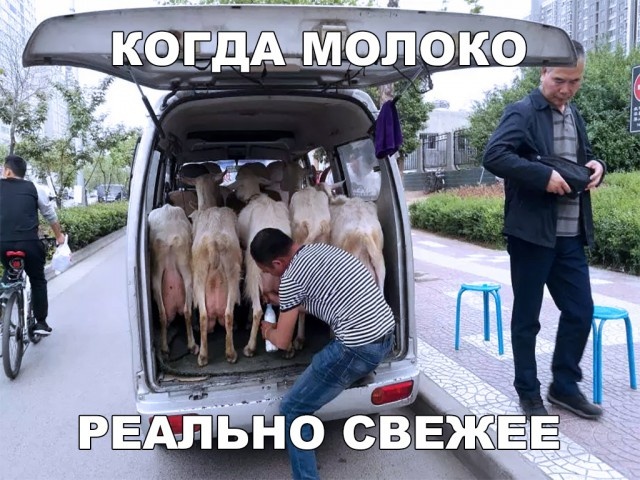 Простой юмор без смысловой нагрузки