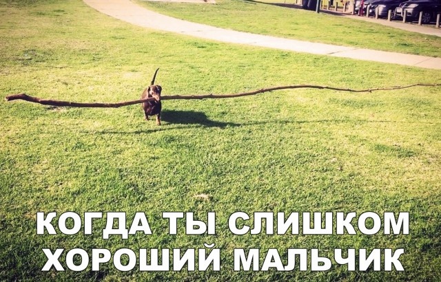 Простой юмор без смысловой нагрузки