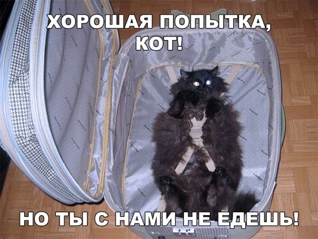 Простой юмор без смысловой нагрузки