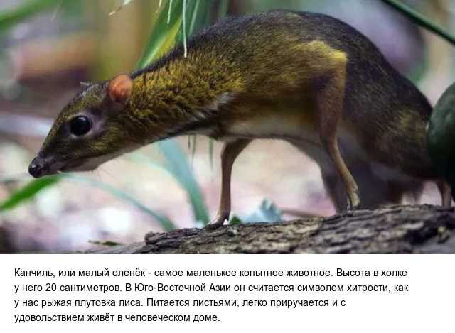 Интересно обо всем на свете
