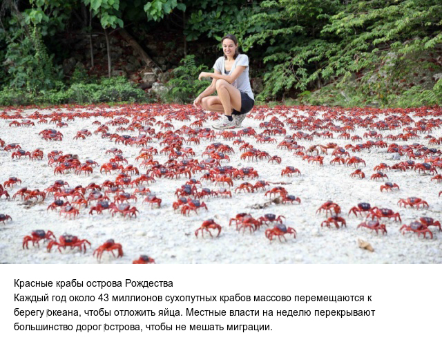 Интересно обо всем на свете