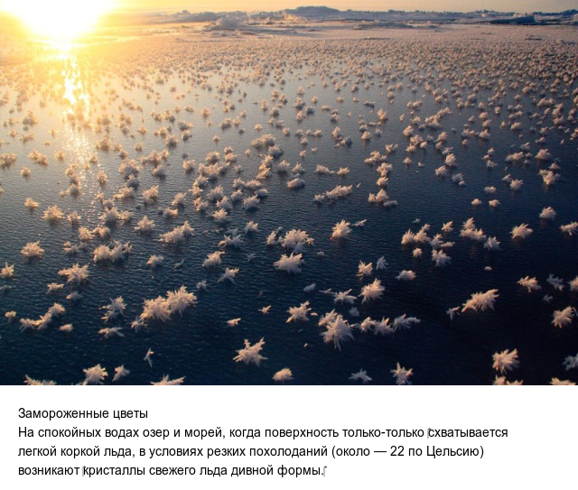 Интересно обо всем на свете