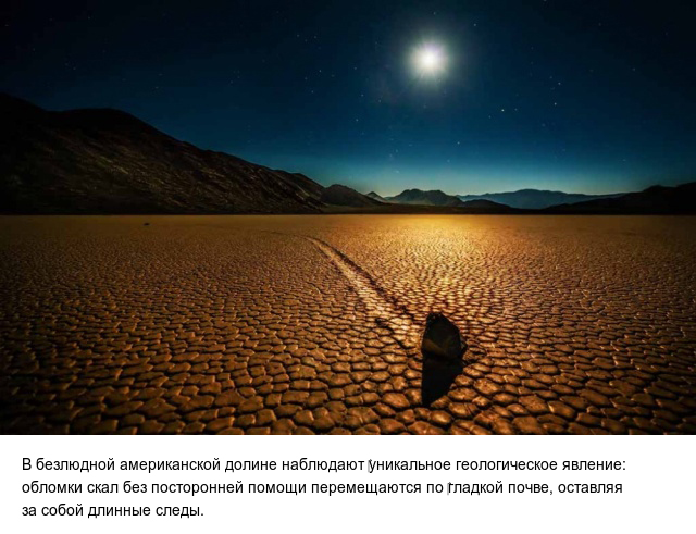 Интересно обо всем на свете