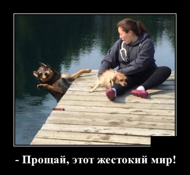 Демотиваторы