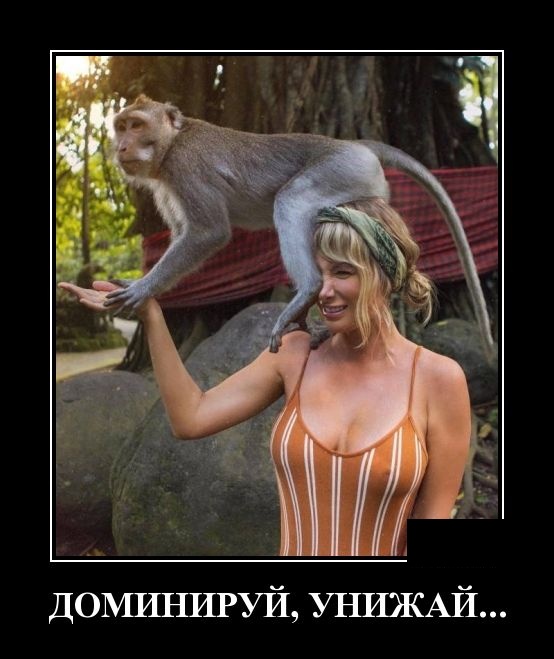 Демотиваторы