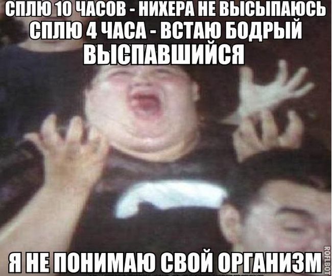 Порция картинок