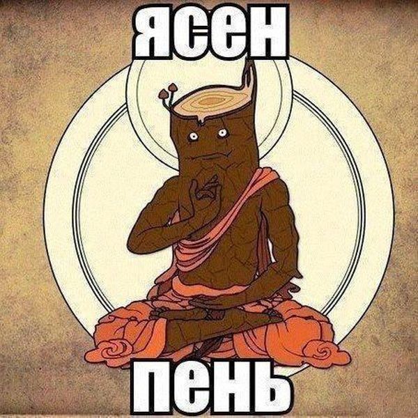 Порция картинок