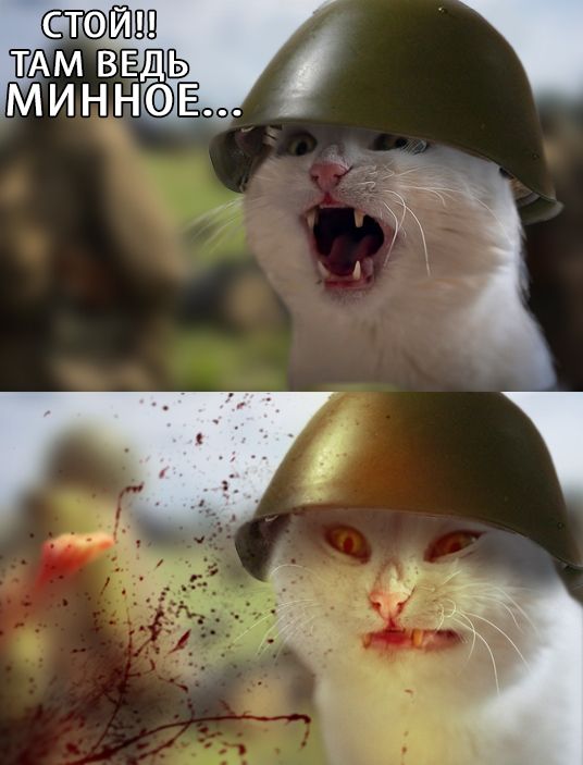 Порция картинок