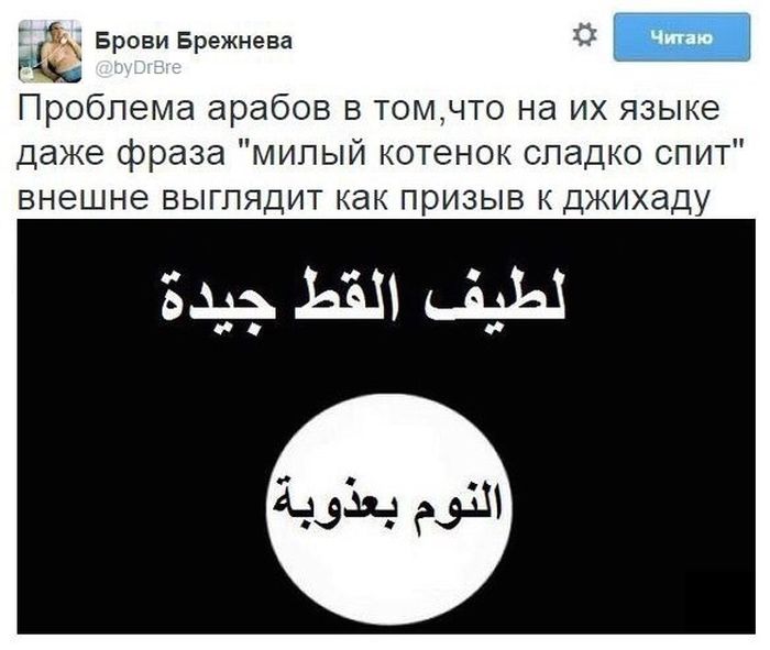 Порция картинок