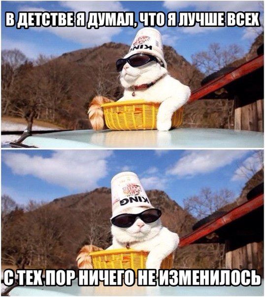 Порция картинок