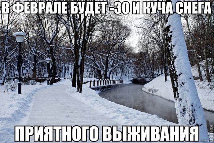 Порция картинок