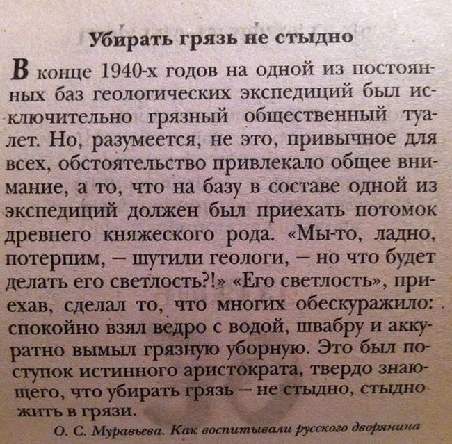 Порция картинок