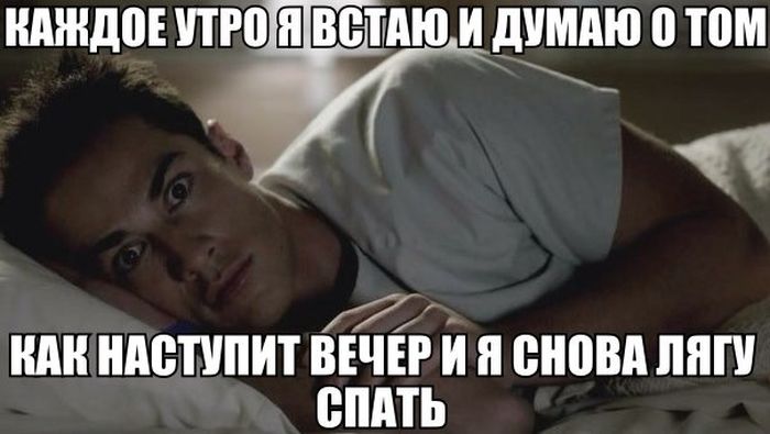 Порция картинок