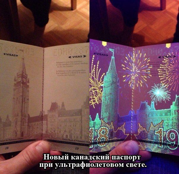 Порция картинок