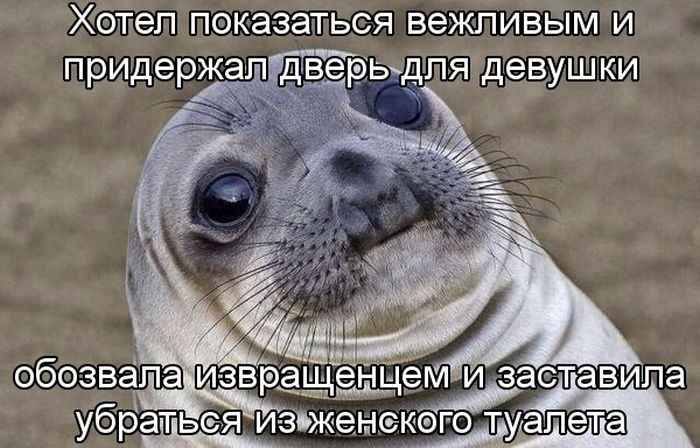 Порция картинок