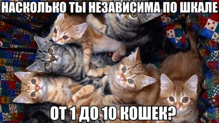 Порция картинок