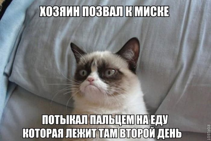Порция картинок