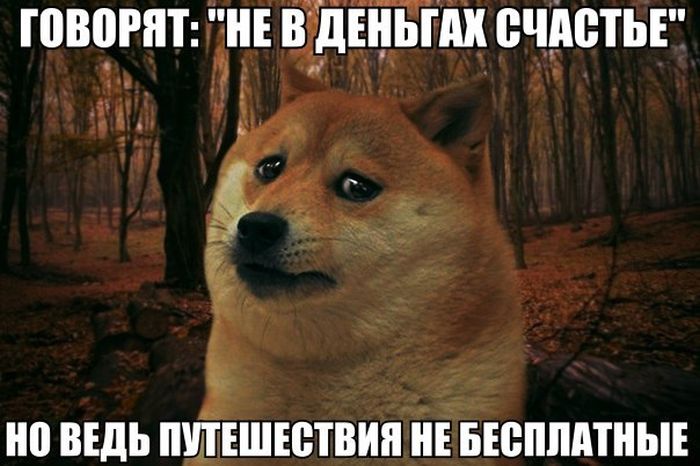 Порция картинок