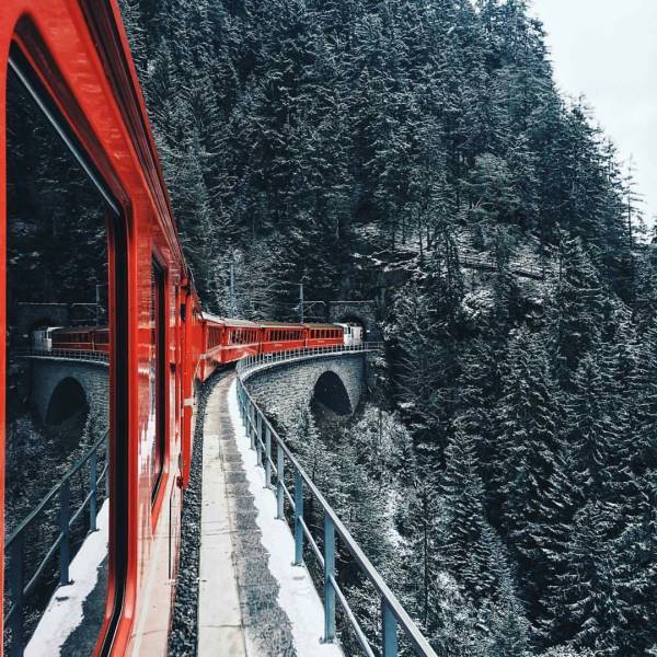 Жизнь прекрасна