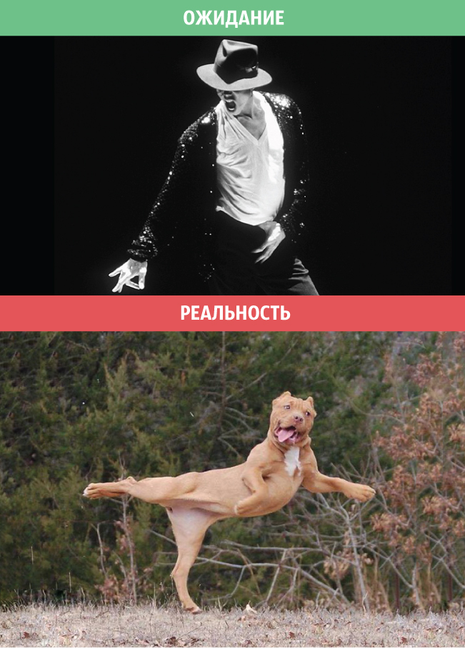 Ожидание VS Реальность