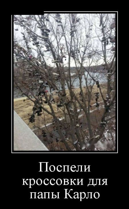 Демотиваторы