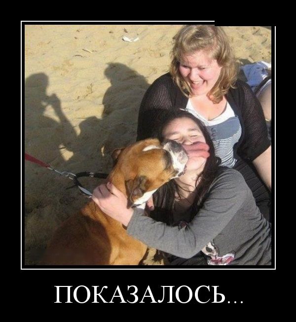 Демотиваторы