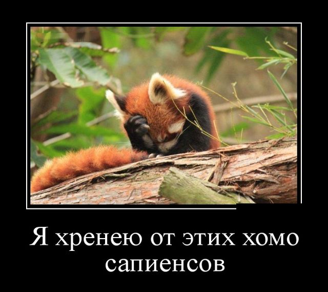 Демотиваторы