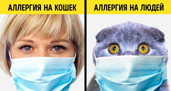 21 факт о нашем мире для тех, кто уже давно ничему не удивляется 21 факт о нашем мире для тех, кто уже давно ничему не удивляется