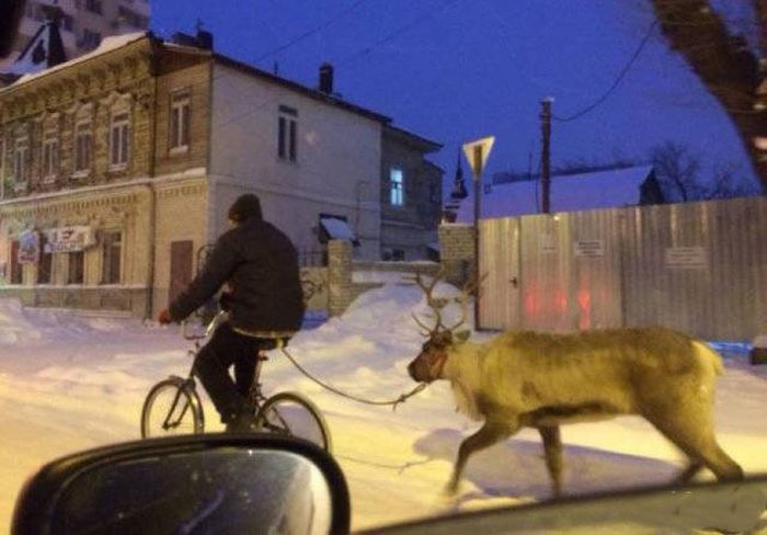 Такое бывает только в России
