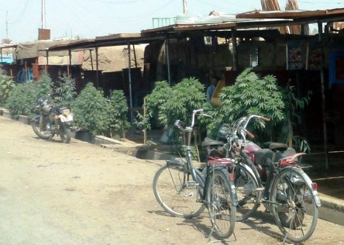 На улицах Афганистана