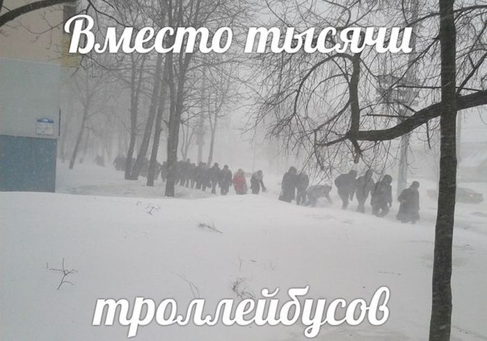 Март, уходи! (53 картинки)