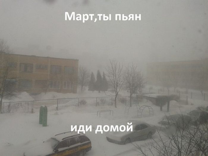 Март, уходи! (53 картинки)