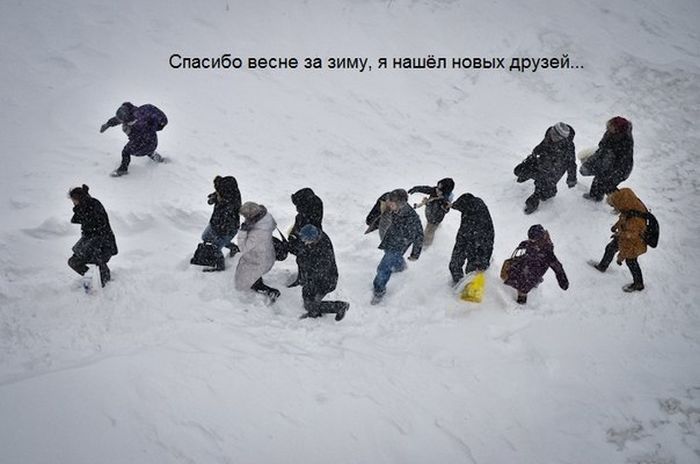 Март, уходи! (53 картинки)