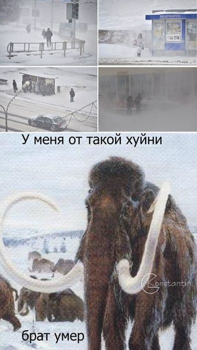 Март, уходи! (53 картинки)