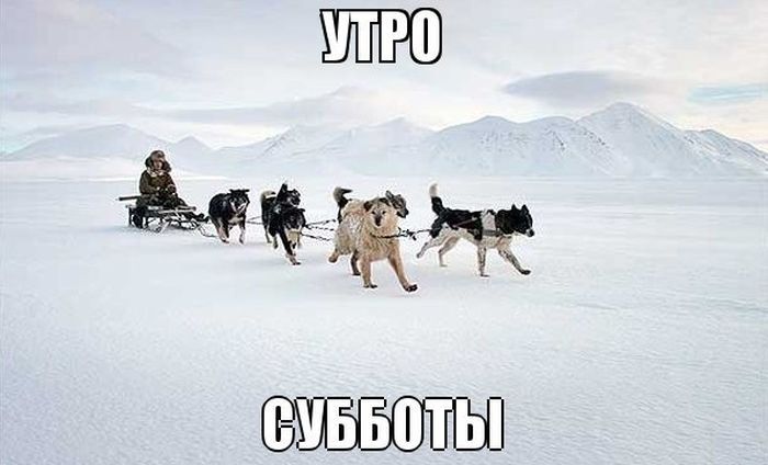 Март, уходи! (53 картинки)