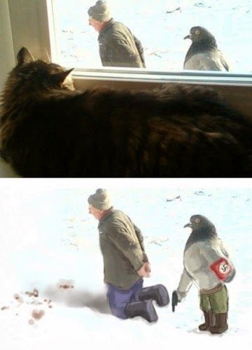 Прикольные картинки (80 фото)