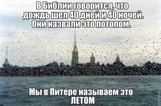 Прикольные картинки (80 фото)