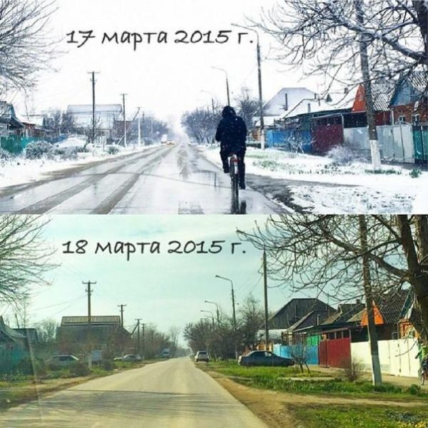 Порция картинок