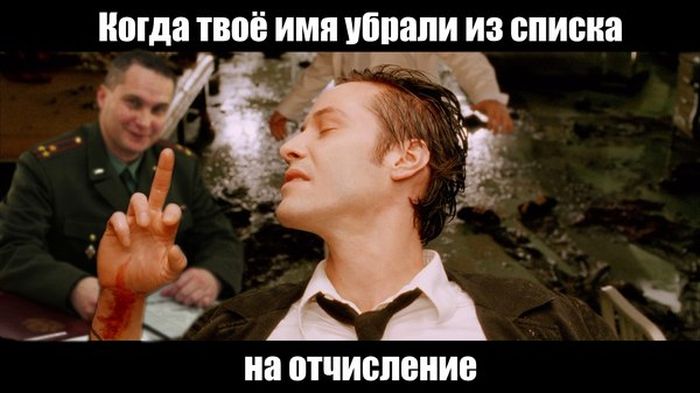 Порция картинок