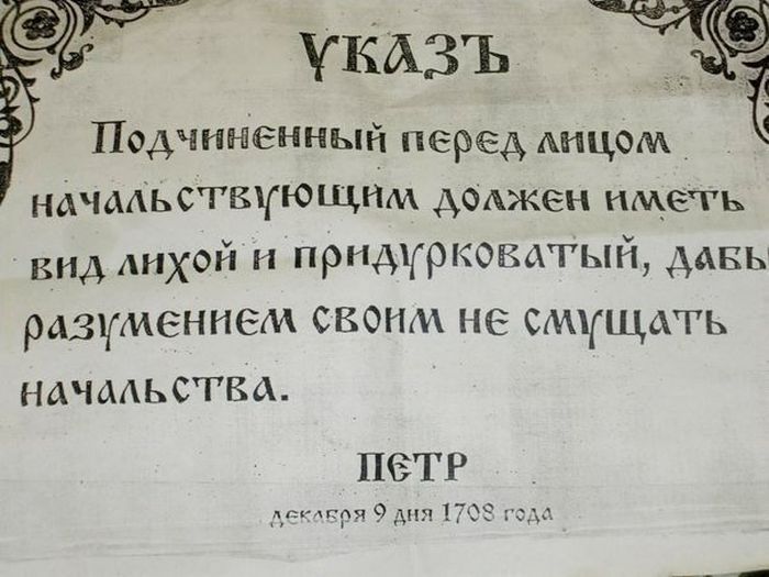Порция картинок