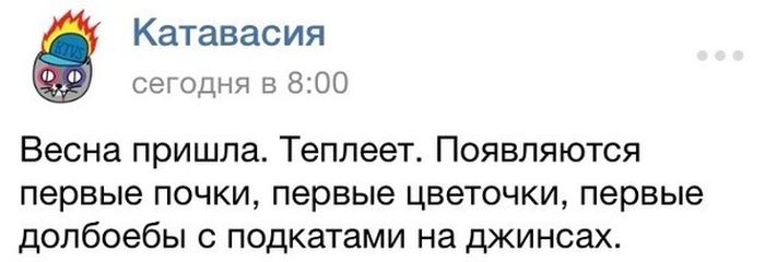 Порция картинок