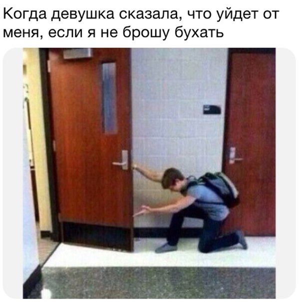Порция картинок
