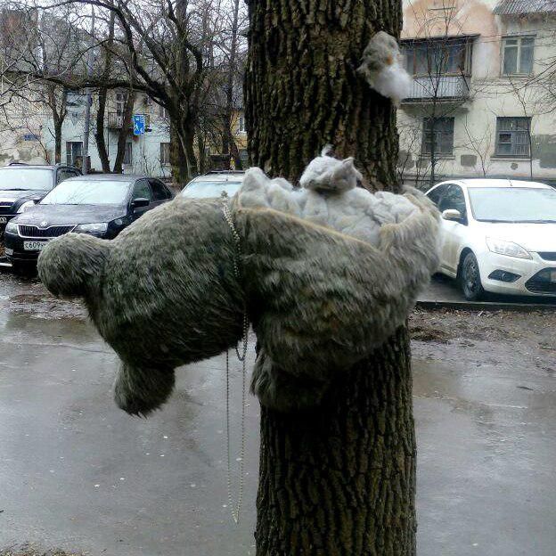 В Ростове на деревья украсили игрушками