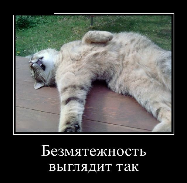 Демотиваторы