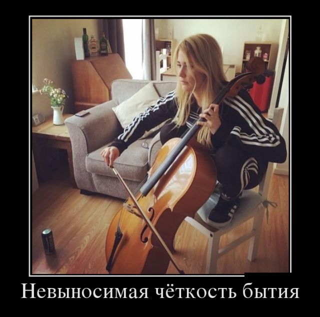 Демотиваторы