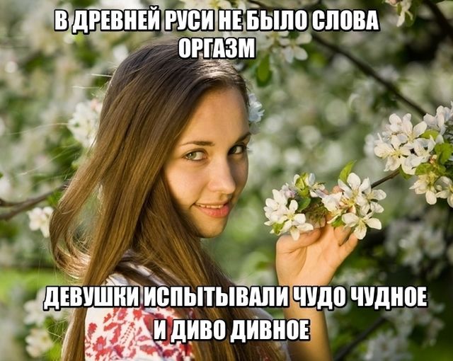 Прикольные картинки