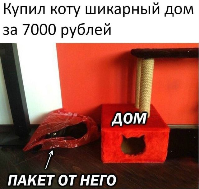 Прикольные картинки