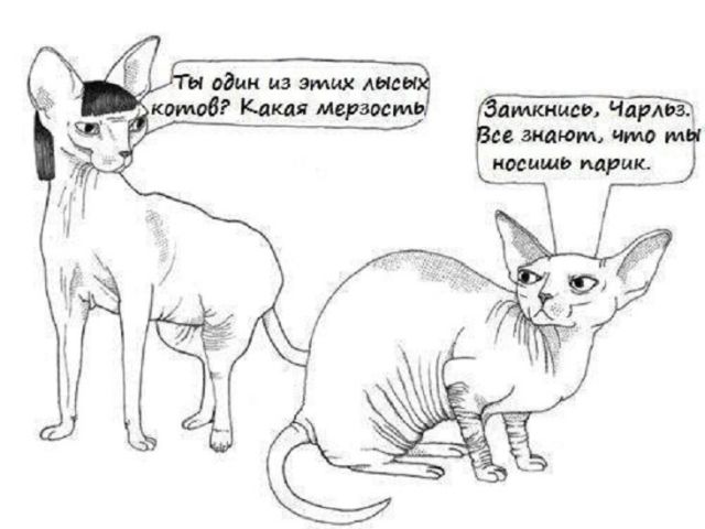 Смешные комиксы