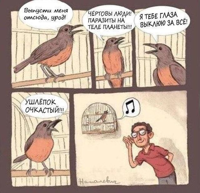 Смешные комиксы